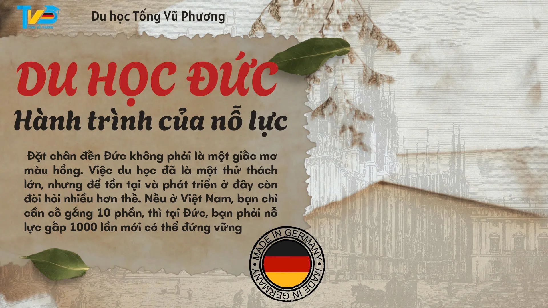 tải xuống (14)